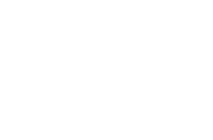 Grupo Aramon
